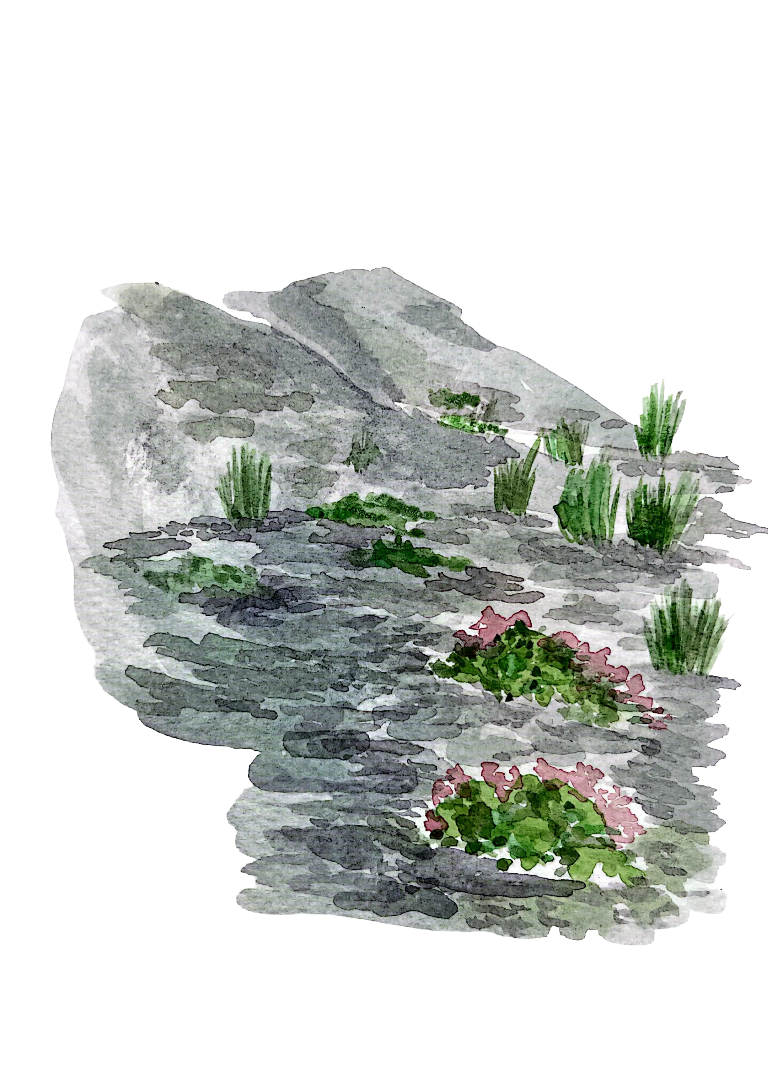Second image