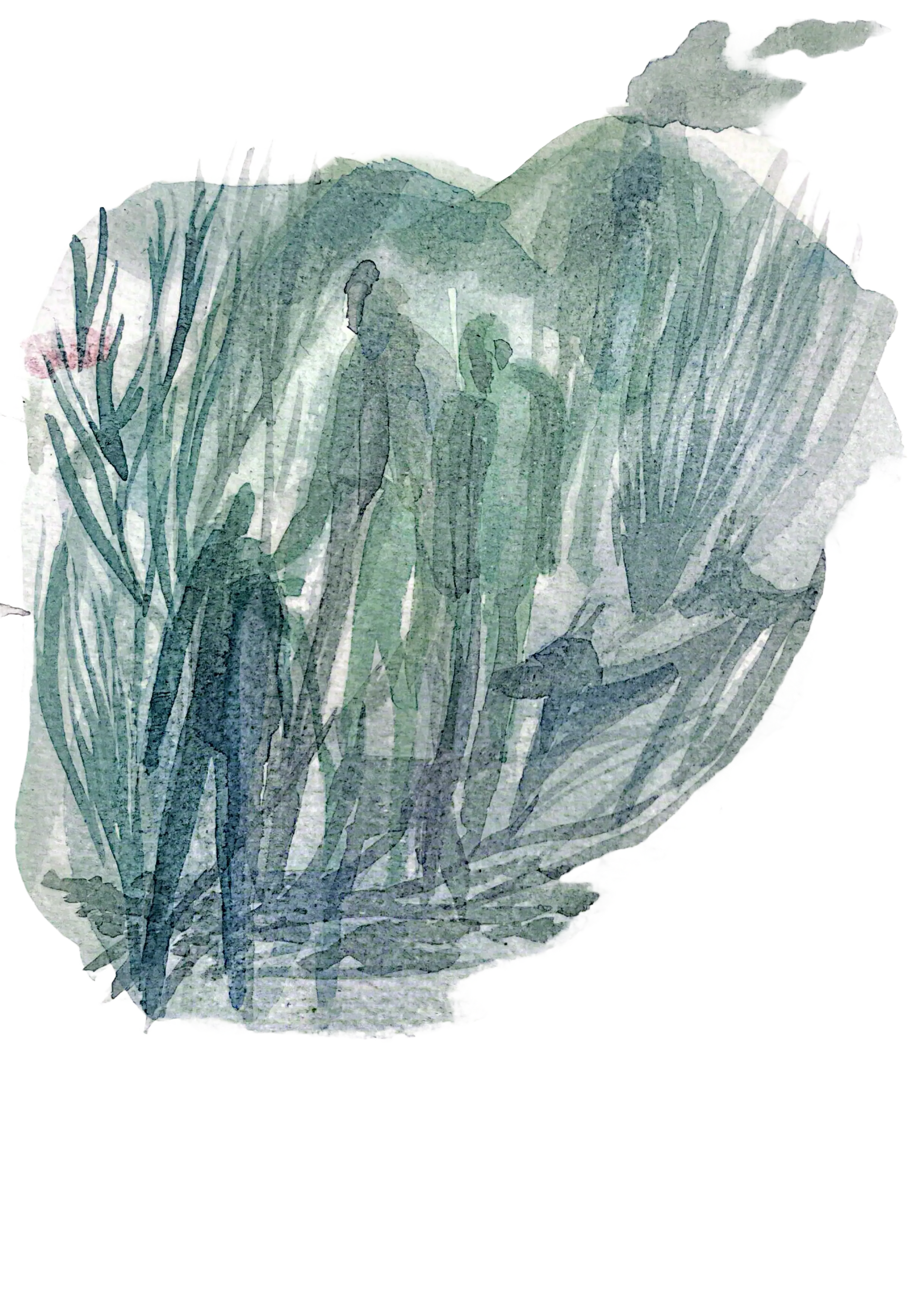 Third image